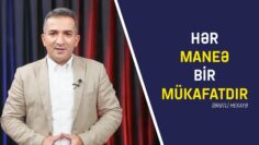 WhatsApp Image 2025-11-19 at 10.46.36_fe059be4